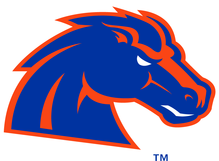 Boise State Bronco 2012-2013 Secondary Logo diy DTF decal sticker